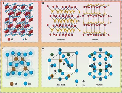 Biogenic Synthesis of Zinc Nanoparticles, Their Applications, and Toxicity Prospects